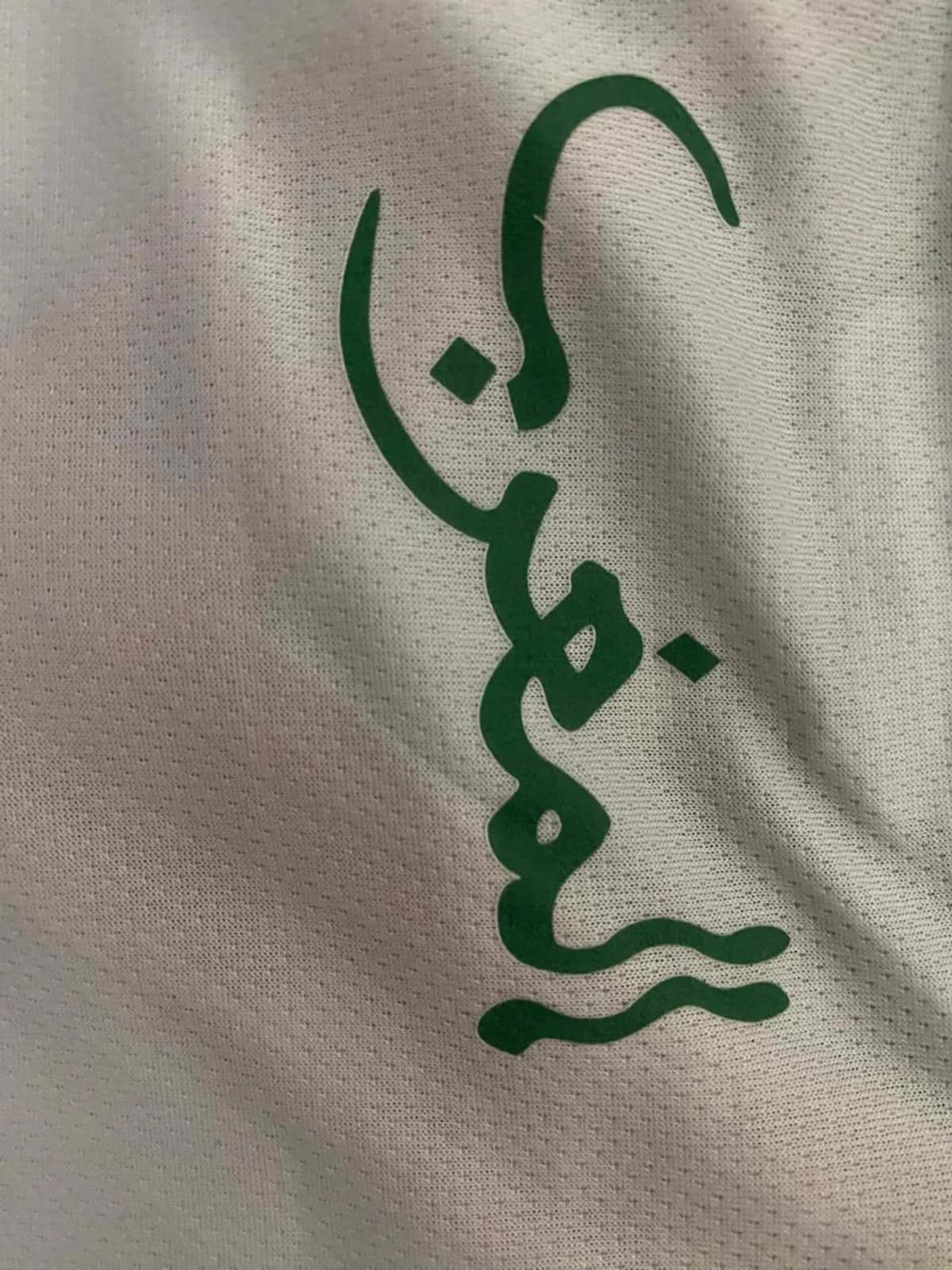 Puma and Crest Detail