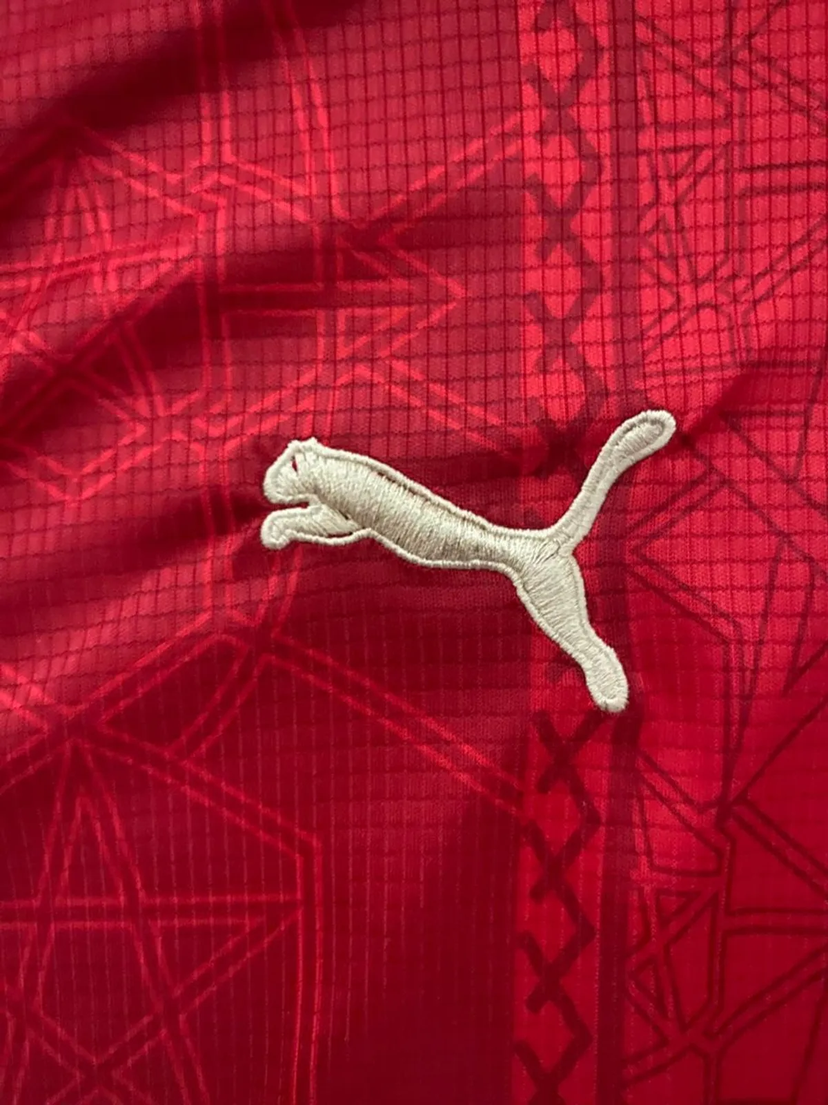 Puma Logo Detail